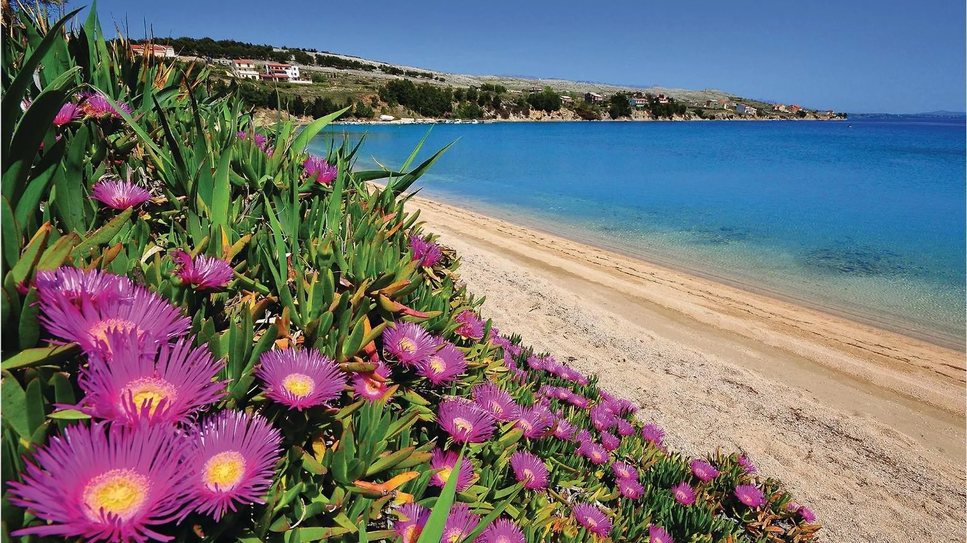 Vakantiehuis Amazing home in Pag with 6 Bedrooms, WiFi&Outdoor swimming pool Pag Town Kroatië